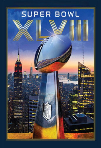 Cartell de Super Bowl XLVIII