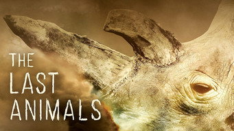 The Last Animals (2017)