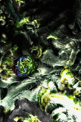 Symbionts (2025年)のポスター画像 - FindKey