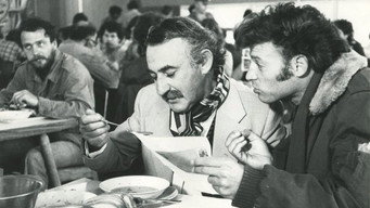 Belfer (1978)