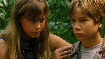 Blinker (1999)
