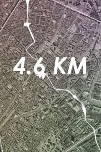 4.6 KM poster