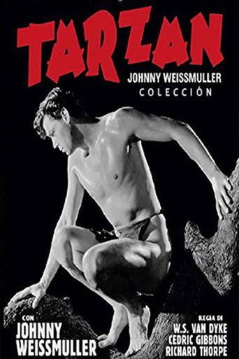 Tarzán (Johnny Weissmuller) - Colección