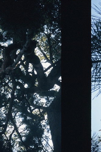 May 7th, 2020 poster