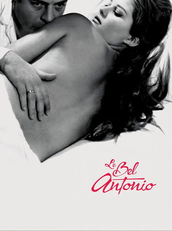 Il bell'Antonio — Posters 15