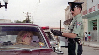 Highway Patrolman (1991)