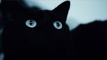 Alice was my name (2021)