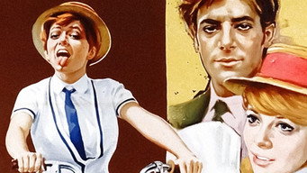Rita the Mosquito (1966)