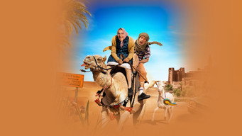 Les Bodin's partent en vrille (2025)
