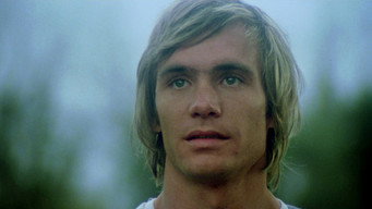 Трюкач (1980)