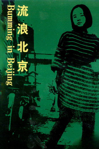 流浪北京 (1990)