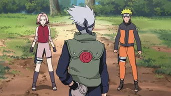 Naruto Shippuden