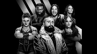 #44 WWE NXT