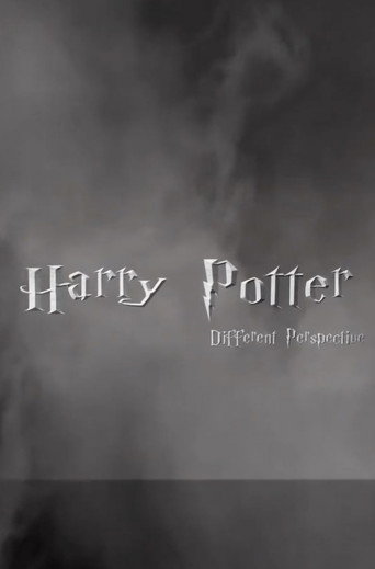 Harry Potter: Different Perspective