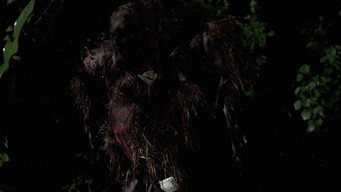 #11 Scarecrows