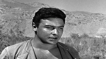 #44 Son of Hamido