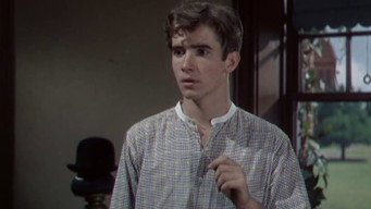 #11 The Happy Years