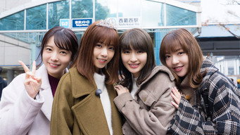NOGIBINGO! media image