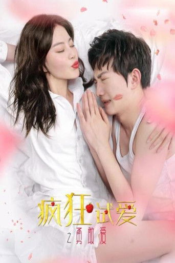 疯狂试爱之勇敢爱 poster