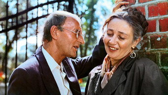 Woman from the Provinces (1985)