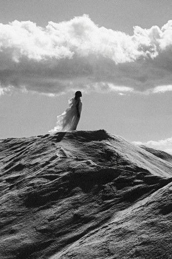 what colours can we dream in this night filled with salt?