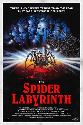 poster Spider Labyrinth