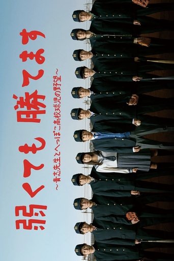 Baseball Brainiacs (2014)