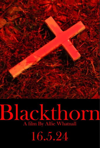 Blackthorn poster