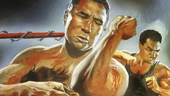 Blood Ring (1991)