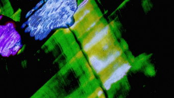 Пелена катексису (1990)