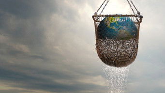 Galeria 1 - Seaspiracy. La Pesca Insostenible