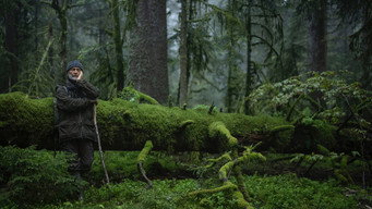 #11 Whispers in the Woods
