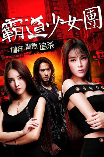 霸道少女团 poster