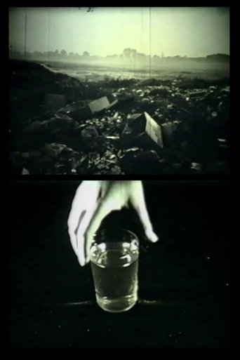 Déjà vu (1981)