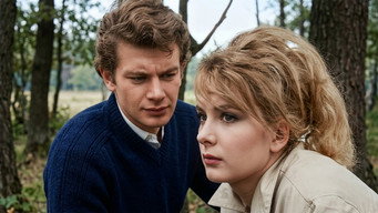 Soför Nebahat ve kizi (1964)