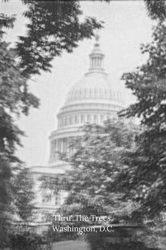 Cartell de Thru' The Trees, Washington, D.C.