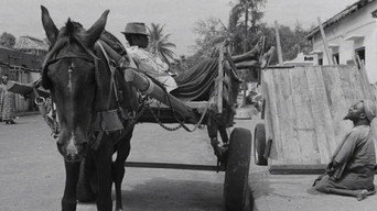 The Wagoner (1963)