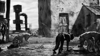 Canis (2013)