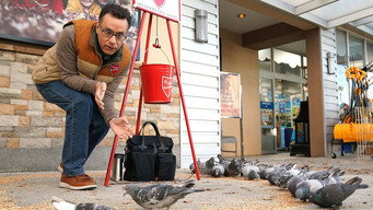 Superstore: Uma Loja de Inconveniências