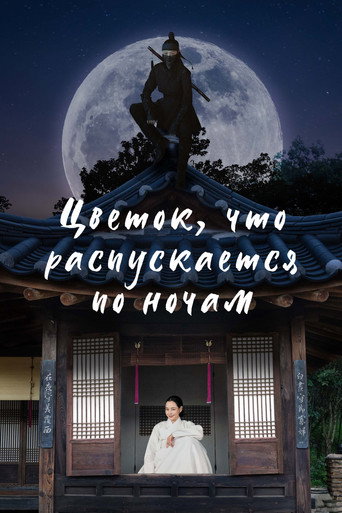 밤에 피는 꽃 — Pósters 16