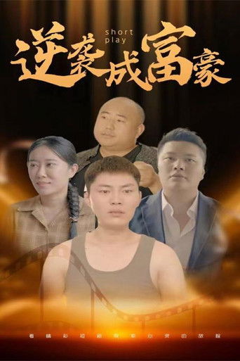 逆袭成富豪 poster