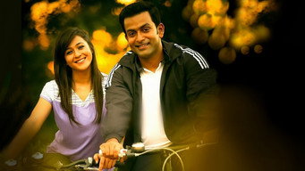 #5 Anarkali