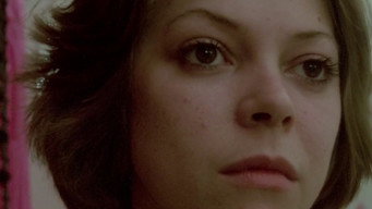 La belle apparence (1979)