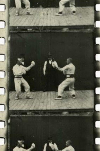 A French Boxing Contest poster — watch free in HD on FreeFlix