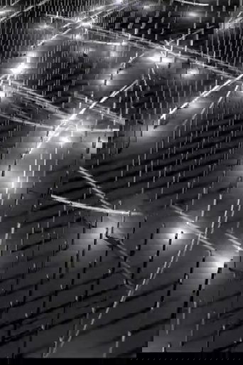 Barcode III.0 (2013) Barcode III.0 (2013)