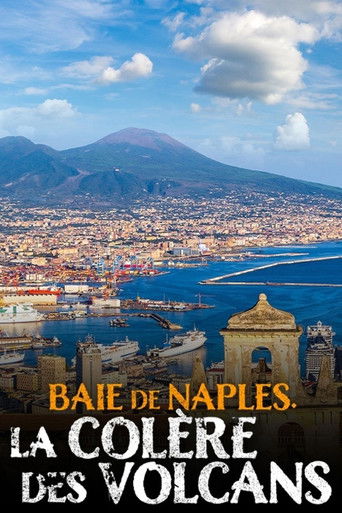 Baie de Naples, la colère des volcans (2020)