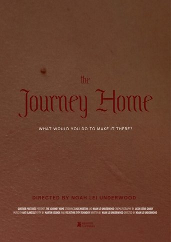 The Journey Home poster