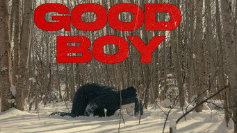 #8 Good Boy