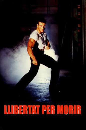Cartell de Llibertat per morir