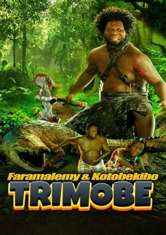 Trimobe 3D